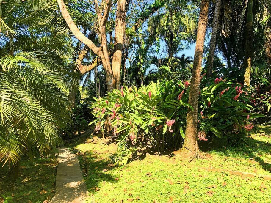 Villa Del Idaan โบกัสทาวน์ ภายนอก รูปภาพ