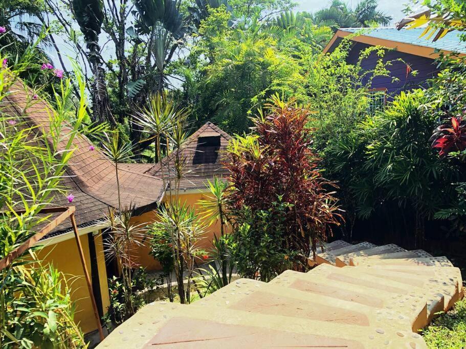 Villa Del Idaan โบกัสทาวน์ ภายนอก รูปภาพ