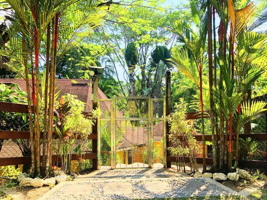 Villa Del Idaan โบกัสทาวน์ ภายนอก รูปภาพ